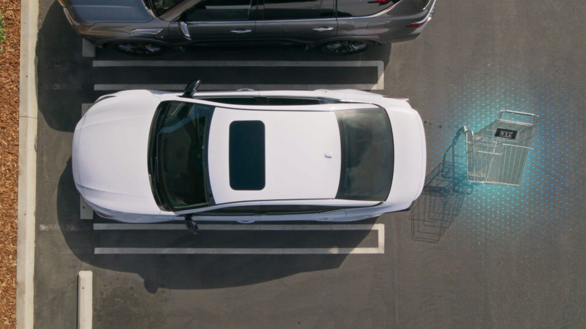 2026 Nissan Altima | Welch Nissan in Pine Bluff, AR